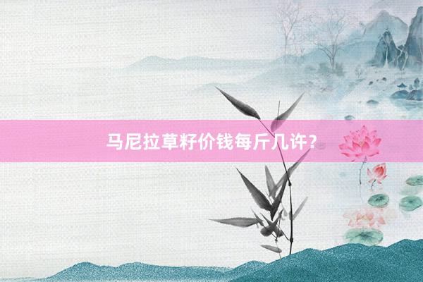 马尼拉草籽价钱每斤几许？