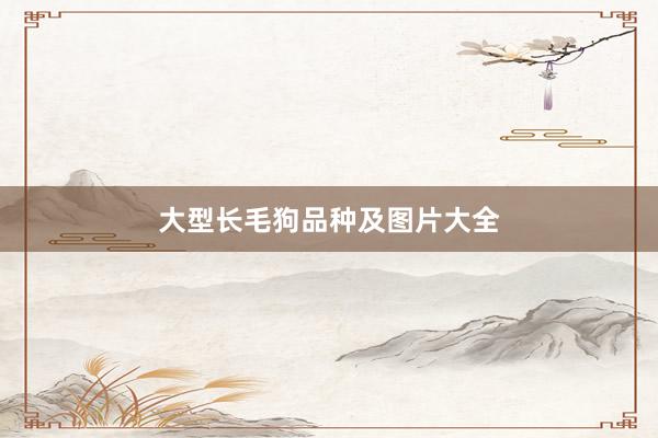 大型长毛狗品种及图片大全